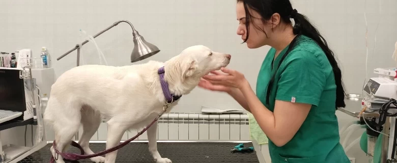 PRVA POSETA VETERINARU