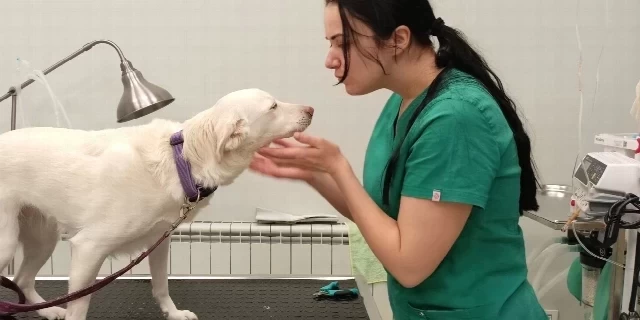 PRVA POSETA VETERINARU