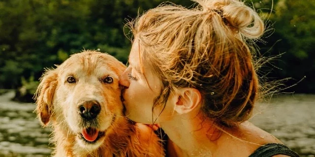 Putovanje sa kućnim ljubimcima  