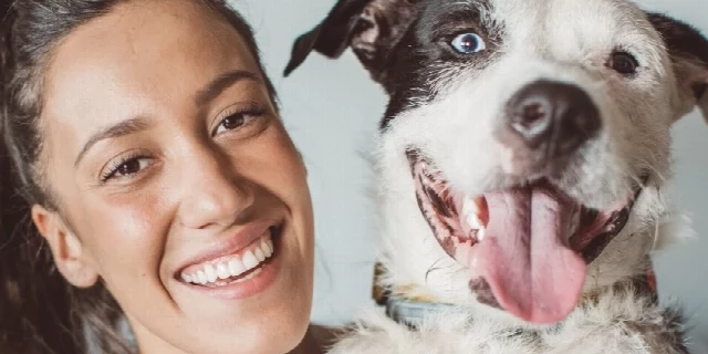 Usvajanje pasa - zašto da usvojite mešanca?